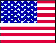 Standard USA Flag