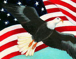 USA Flag with Eagle 2