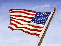 USA Flag Picture 3